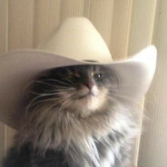 ponche's avatar