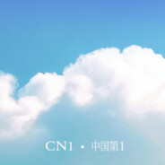 CN1's avatar