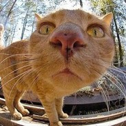 老了反应慢了别骂