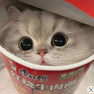 Staśnisław kaźmierczak