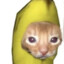 Banana Cat (;_;)