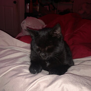 Bluづ