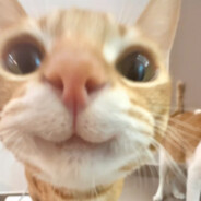 校园网说断就断