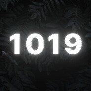1019 avatar