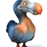 Dodo