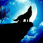 Wolf UA