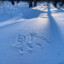 ran311