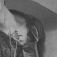 Beløved Bøstøn👑