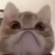 gyo