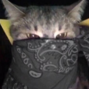 𝙿𝚙𝚜𝚑𝚔𝚊