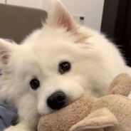 让我再吃三十秒