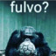 ☠ fulvo ☠