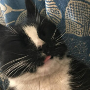 Hit me hard and soft