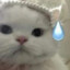 彭于晏