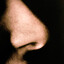 Nose