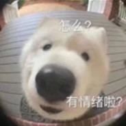 一拳打死一头牛