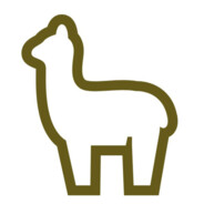 alpaca