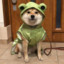 pawlloX33