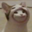 Väpe