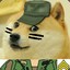 SargeantDoge