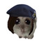 Steam avatar
