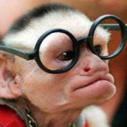 Posljednji Mohikanac Dule