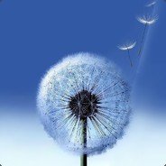 Mr_Fanson