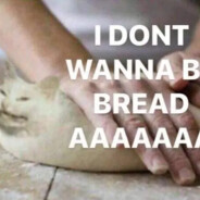 Baking Bread