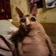 ЖирныйСфинкс2007