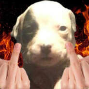 chudmuska avatar