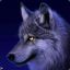 Brack Reign§ -=The White Wolf=-