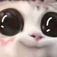 真的是你啊旭仔aa