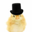 WhyBeAChicken