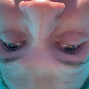lipper