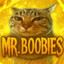 Mr.Boobies