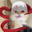 Whis_