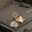 kong