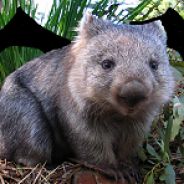 FlyingWombat