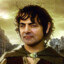 FroDO