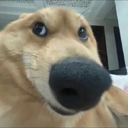 马枪倒地激发队友潜力