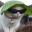 gatu