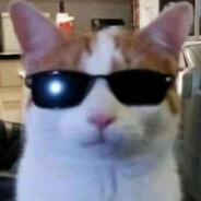 皇庭剑只干苕啤