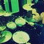 drummer