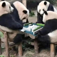 buaa第一深情少男