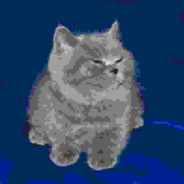 Corentin Crenn 's avatar