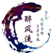 WCG丶醉风流