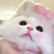 Digidigidigidigidudada