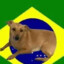 j2camil031