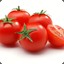 tomatoesoup