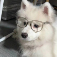 翻斗花园突击手